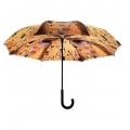 Stick Two-sided Umbrella